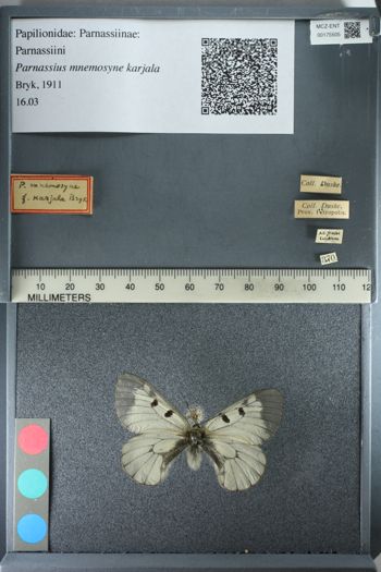 Media type: image;   Entomology 175505